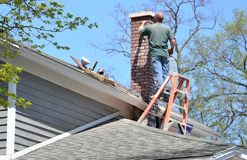 Chimney & Fireplace Inspections Services in East St. Louis, IL